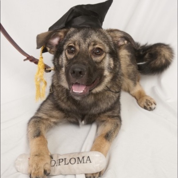 Meet your Posher - Picture 5 of 7